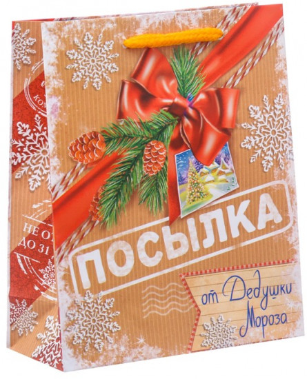Пакет ламинированный вертикальный «Посылка от Дедушки Мороза»