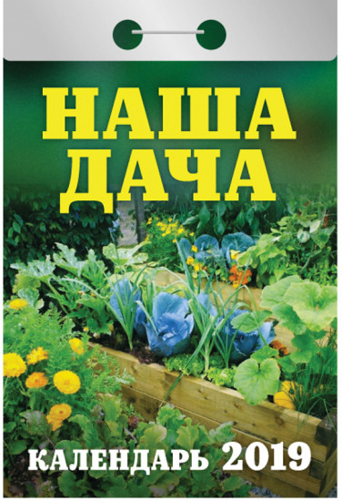 Календарь отрывной на 2019 год «Наша дача»