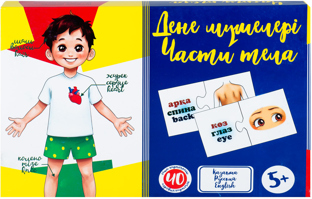 Игра настольная «Части тела — Дене мүшелері»