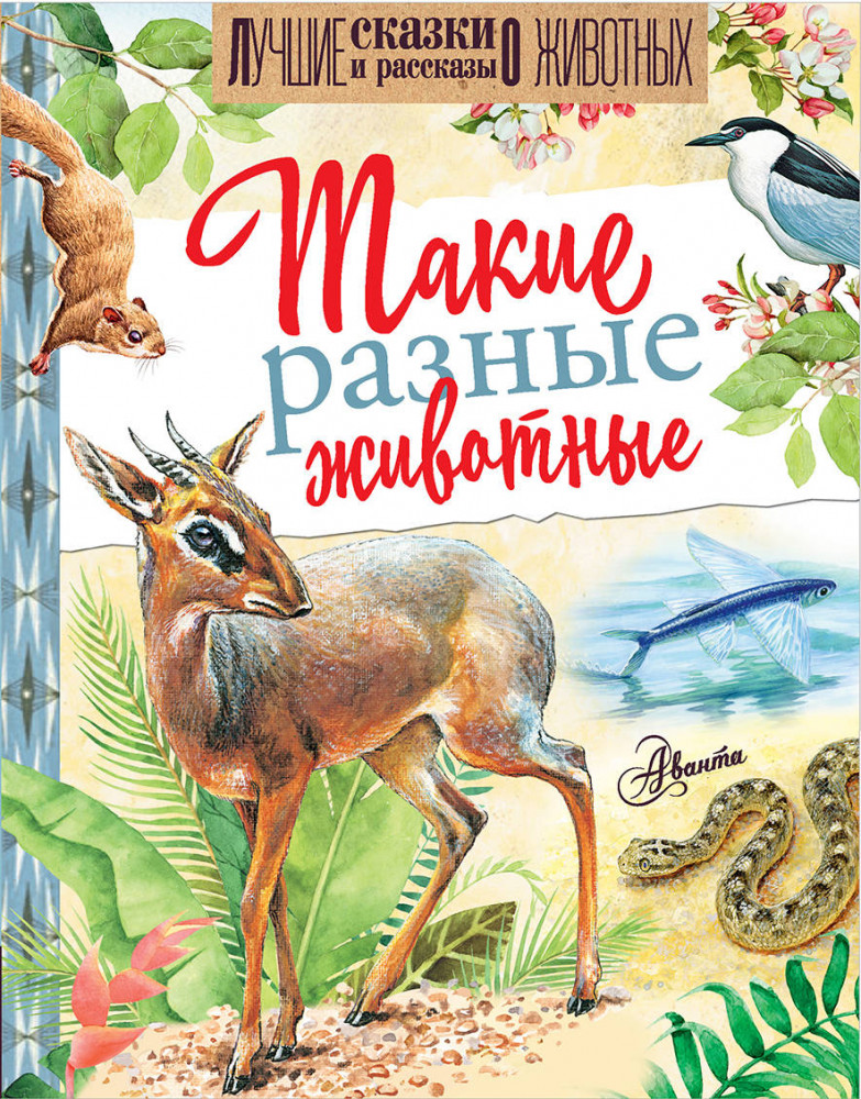 Такие разные животные | Лучшие сказки и рассказы о животных