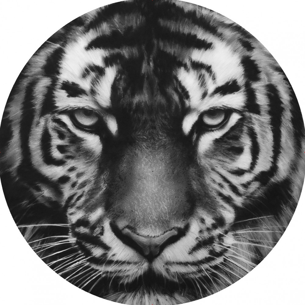 Чехол запасного колеса | Skyway