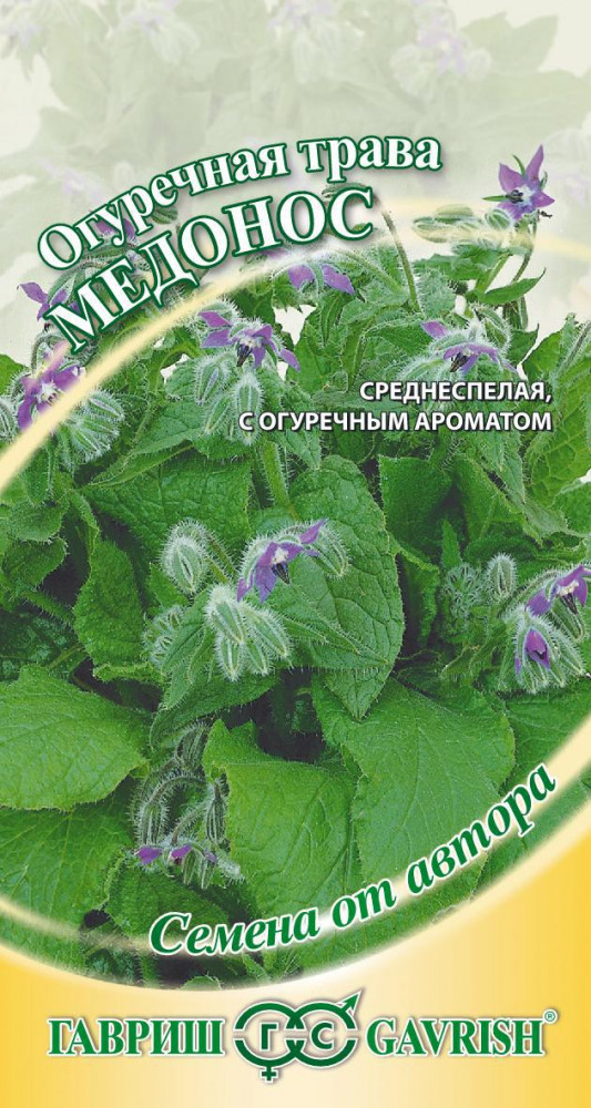 Семена. Огуречная трава (бораго) «Медонос» | Семена от автора | Гавриш