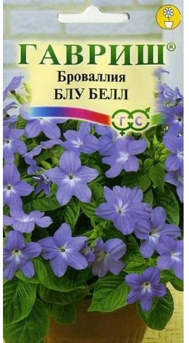 Семена. Броваллия «Блу Белл» | Гавриш