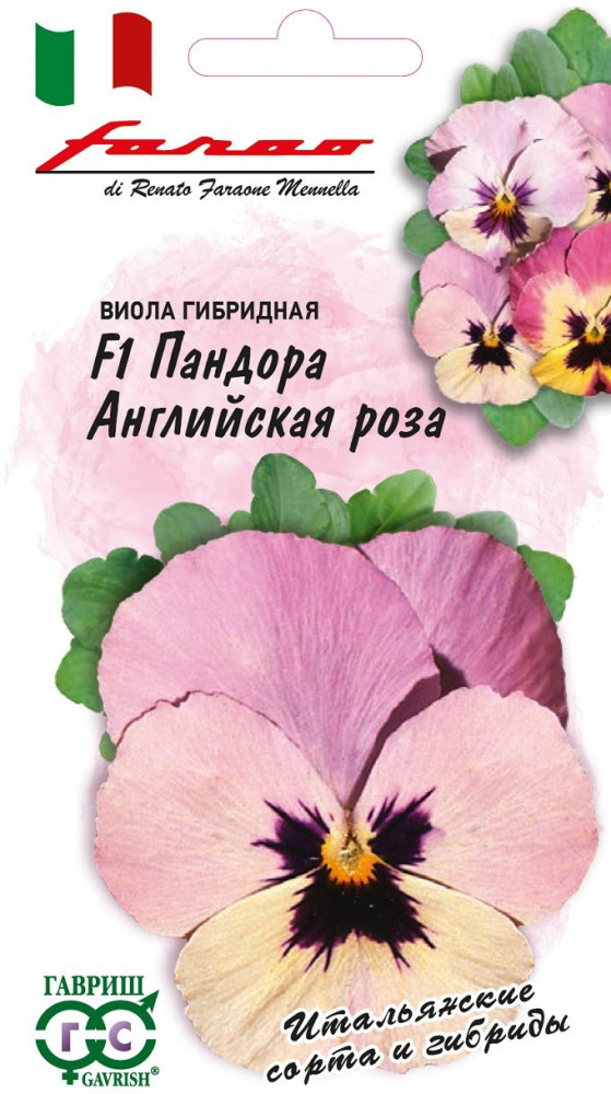 Семена. Виола гибридная «Английская роза» F1 Пандора | Farao