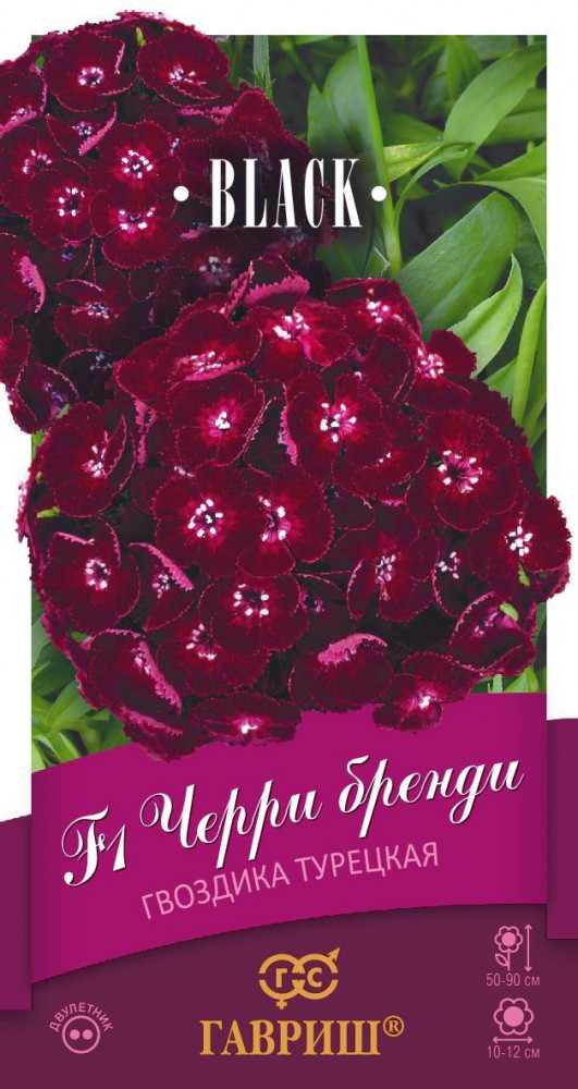 Семена. Гвоздика турецкая «Черри бренди» F1 (пробирка) | Black | Гавриш