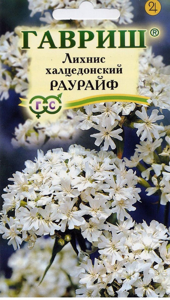 Семена. Лихнис халцедонский «Раурайф» | Гавриш