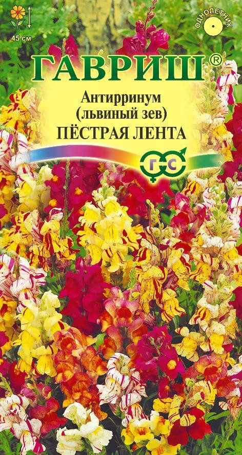 Семена. Львиный зев «Пестрая лента» (Антирринум) | Гавриш