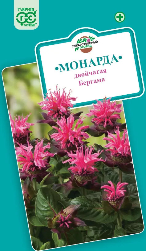 Семена. Монарда двойчатая «Бергама» | Гавриш