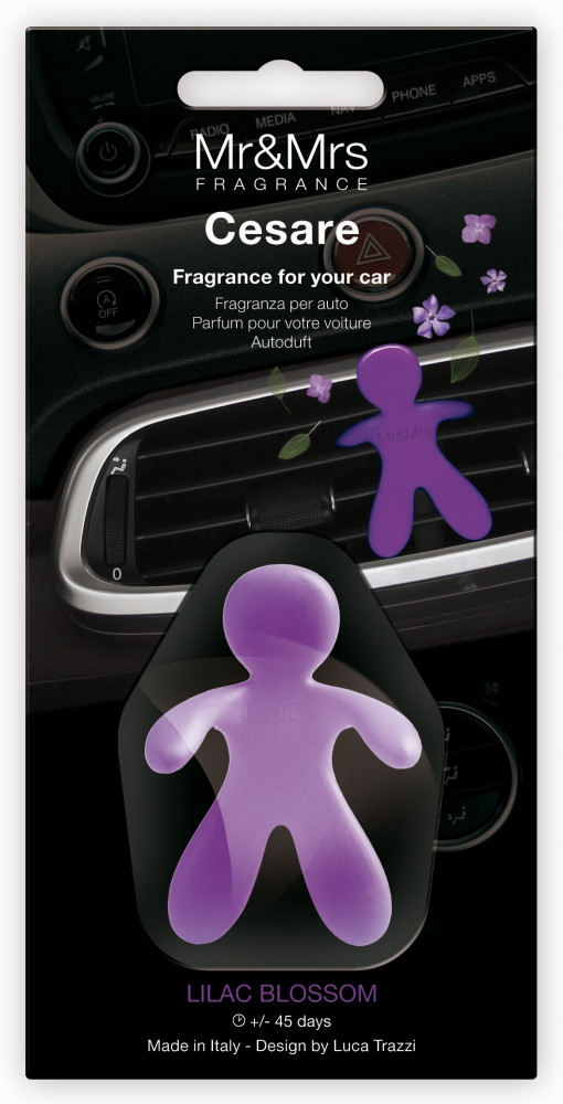 Автопарфюм «Cesare» | Mr&Mrs Fragrance
