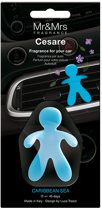 Автопарфюм «Cesare» | Mr&Mrs Fragrance