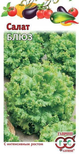 Семена. Салат листовой «Блюз» | Овощная коллекция | Гавриш