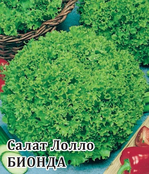 Семена. Салат листовой «Лолло Бионда» | Фермерское подворье | Гавриш