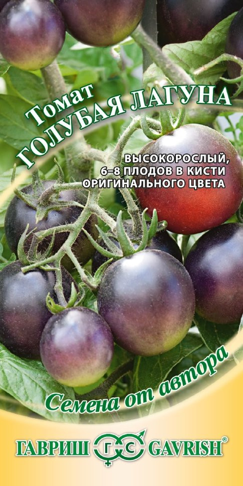 Семена. Томат «Голубая лагуна» | Семена от автора | Гавриш