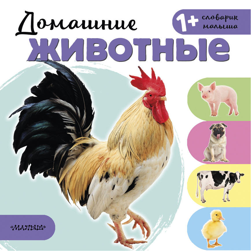 Домашние животные | Словарик малыша