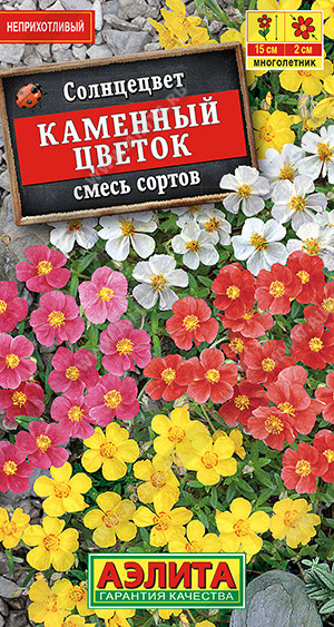 Семена. Солнцецвет «Каменный цветок» смесь окрасок | Многолетние цветы (Аэлита) | Аэлита