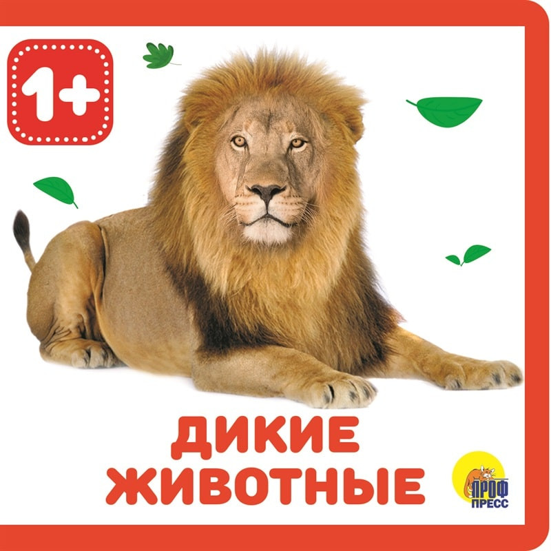 Дикие животные | Книжки на пене