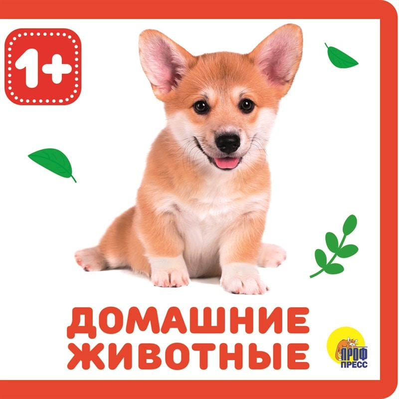 Домашние животные | Книжки на пене