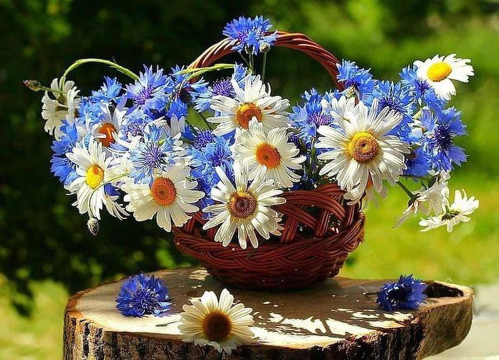 Картина по номерам «Корзина полевых цветов» | Картины по номерам | Molly