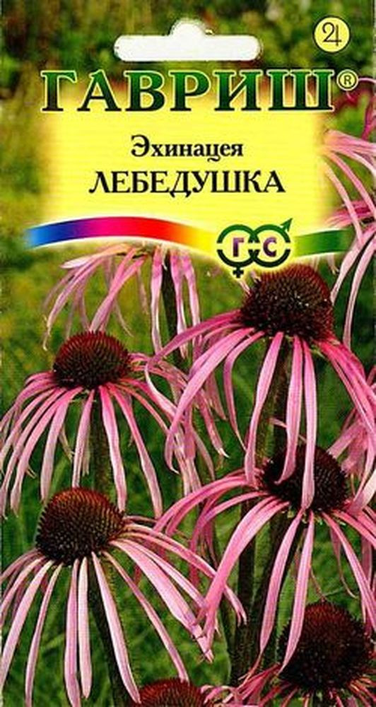 Семена. Эхинацея «Лебедушка» | Гавриш