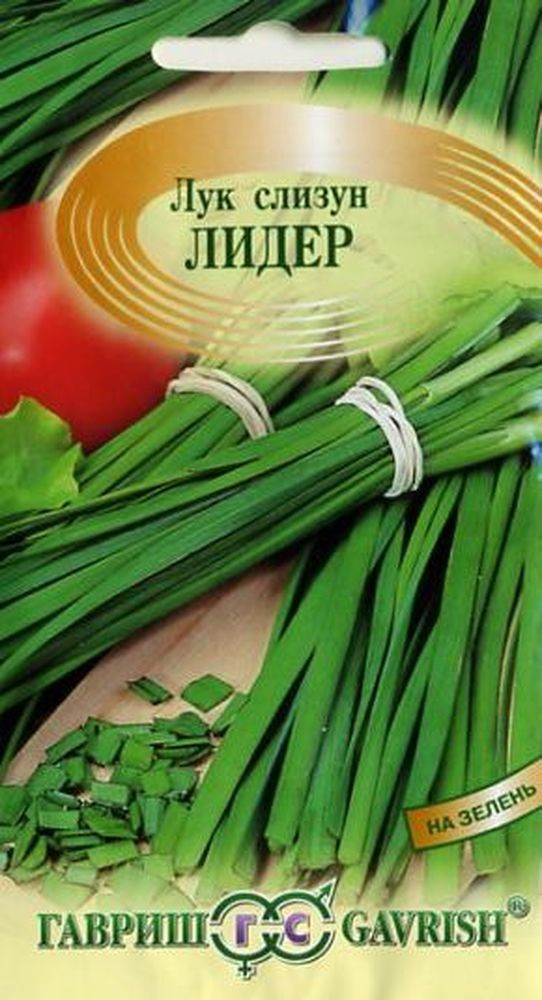 Семена. Лук слизун «Лидер» | Гавриш