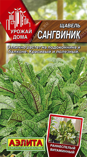 Семена. Щавель «Сангвиник»