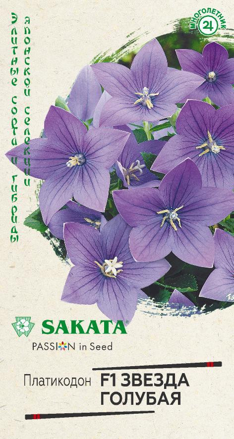 Семена. Платикодон «Звезда голубая F1» | Многолетние цветы (Гавриш) | Гавриш