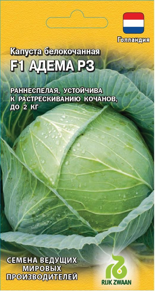 Семена. Капуста белокочанная «Адема РЗ F1» | Семена ведущих голландских производителей | Гавриш