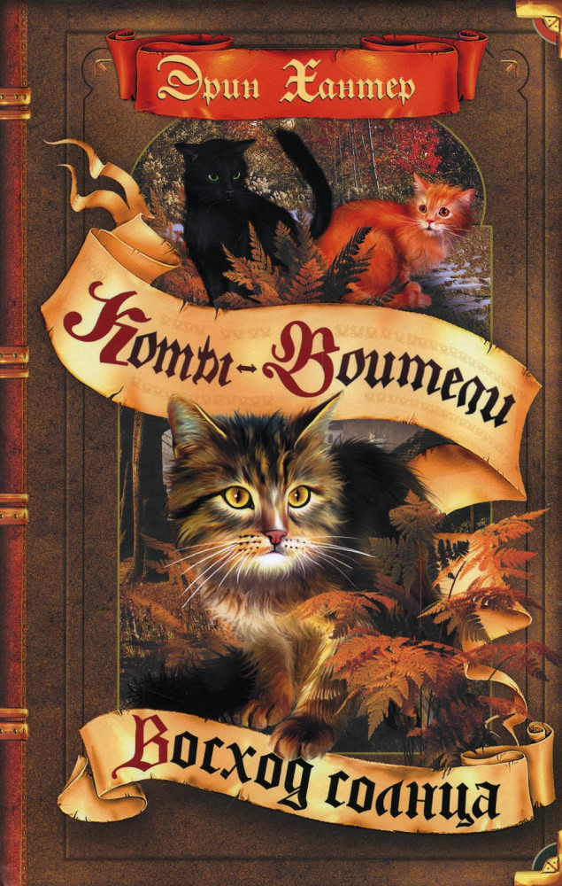 Восход солнца | Коты-воители