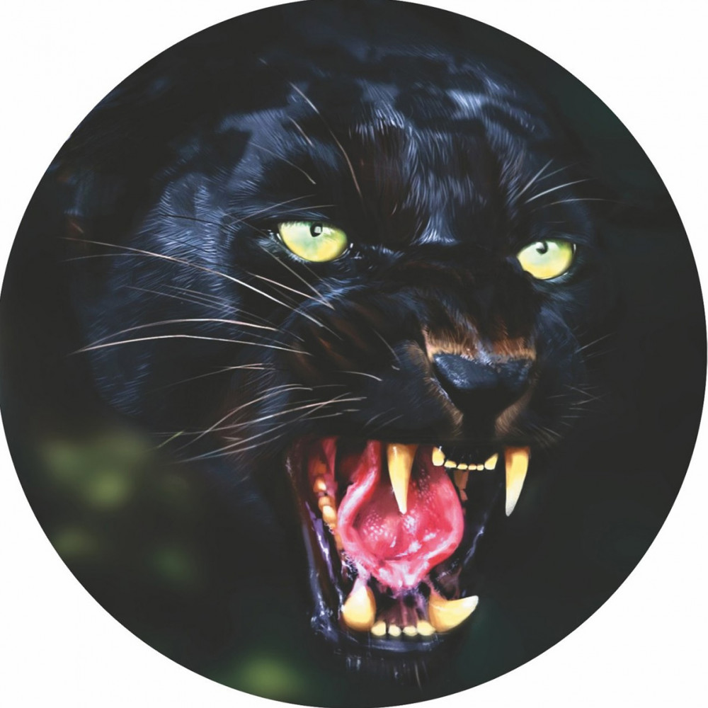 Чехол запасного колеса «Черная пантера» | Skyway