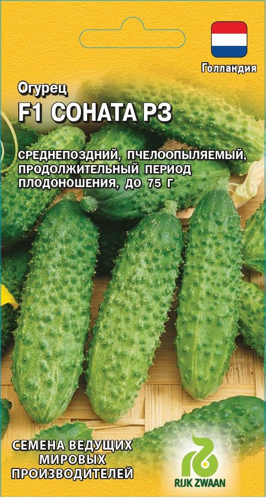 Огурец «Соната» | Семена ведущих голландских производителей | Гавриш