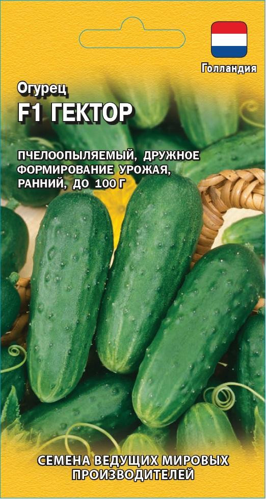 Огурец «Гектор» | Семена ведущих голландских производителей | Гавриш