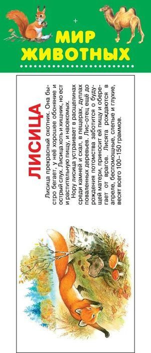 Набор карточек. Мир животных | Карточки для развития ребенка