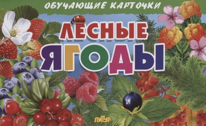 Лесные ягоды. Обучающие карточки | Обучающие карточки