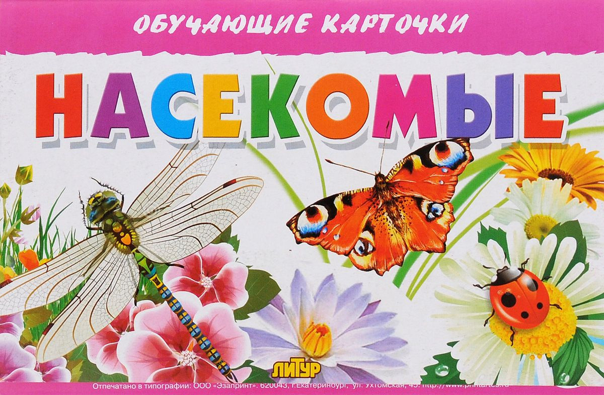 Насекомые. Обучающие карточки | Обучающие карточки