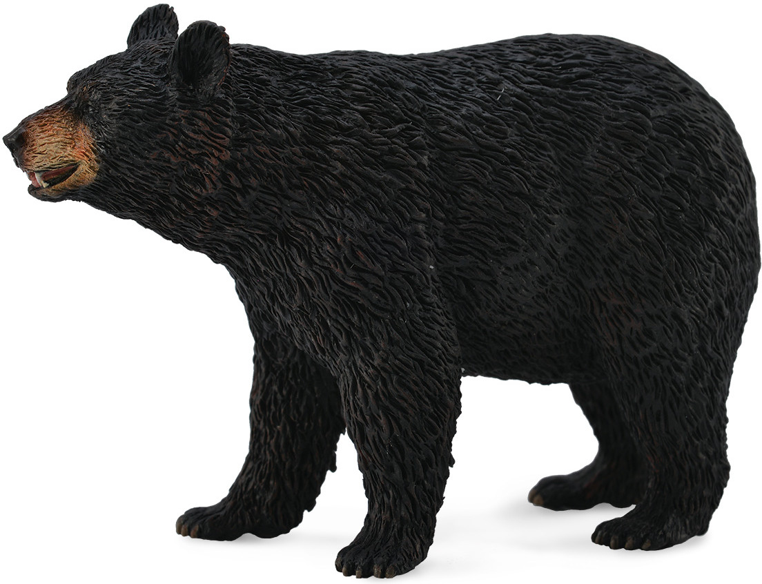 Фигурка «Американский чёрный медведь» | Дикая природа | Collecta
