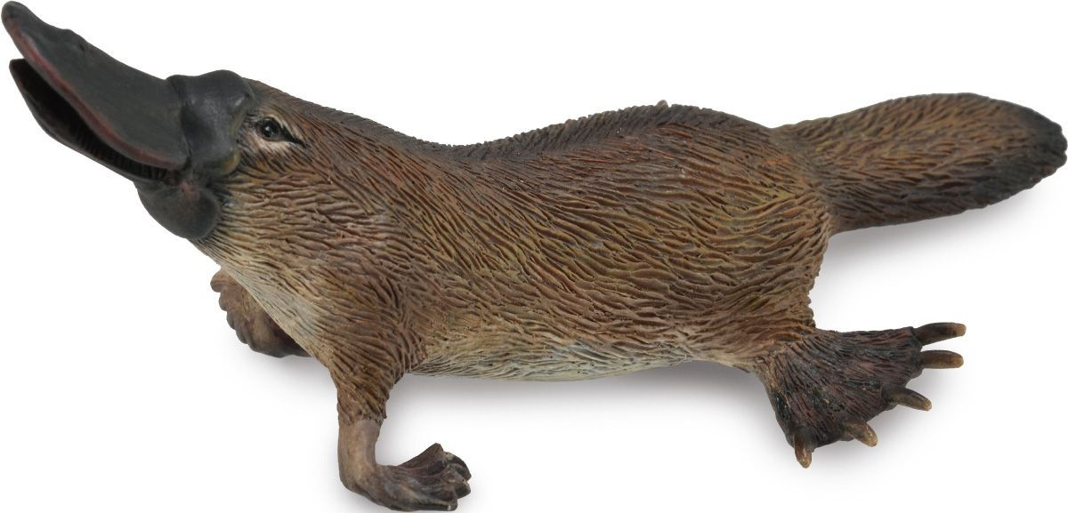 Фигурка «Утконос» | Дикая природа | Collecta