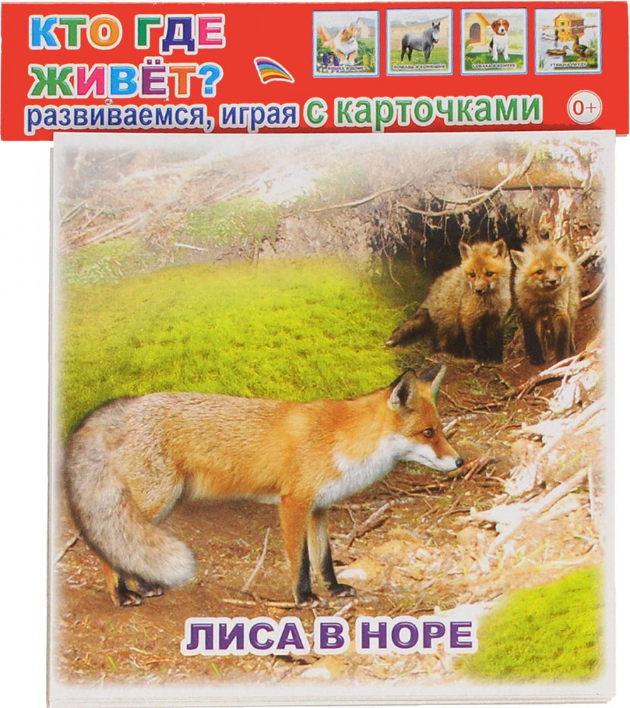 Кто где живет? Обучающие карточки | Карточки развивающие для дошкольников