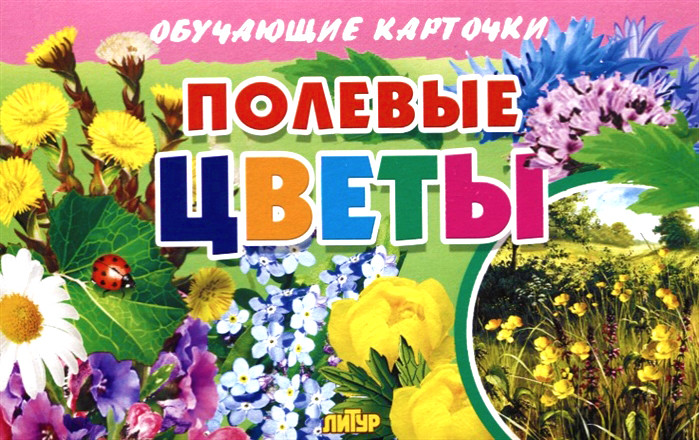 Карточки обучающие «Полевые цветы» | Обучающие карточки
