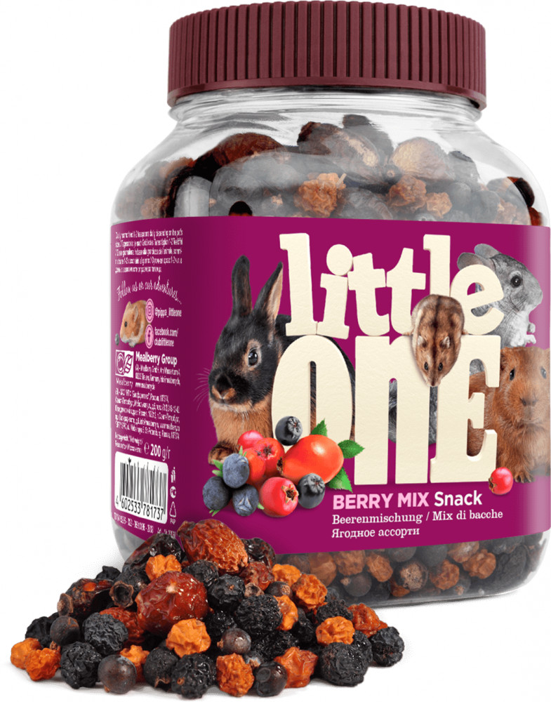 Лакомство для всех видов грызунов « Ягодное ассорти» | Little One