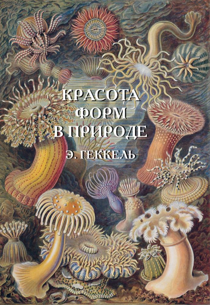 Красота форм в природе. Э. Геккель | История и шедевры