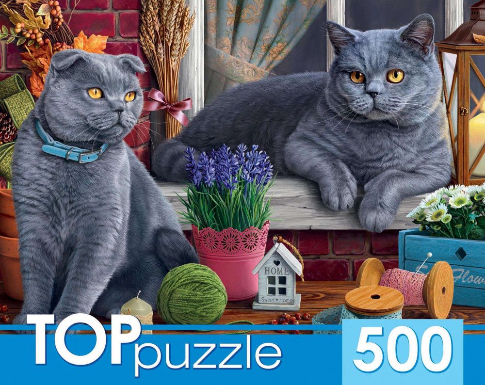 Пазл «Два британских кота» | TOPpuzzle-500 | Рыжий кот