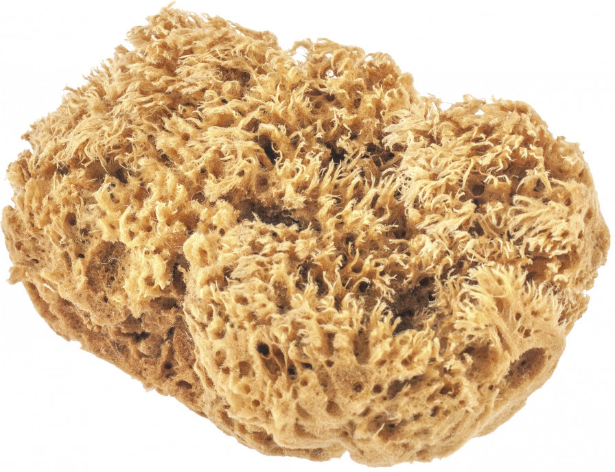 Губка натуральная для декоративных покрытий | Matrix MTX