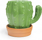 Кружка с блюдцем «Cactus»