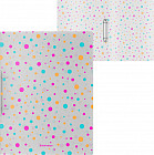 Папка на 2-х кольцах