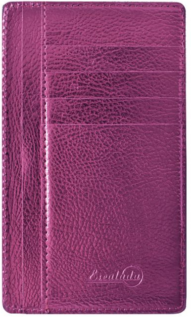 Чехол-обложка для кредитных карт | Escalada | Феникс +