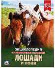 Лошади и пони