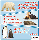 Жануарлар. Животные. Актика мен Антарктика