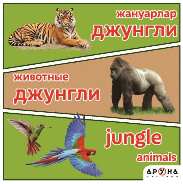 Жануарлар. Животные. Джунгли | 15 тематических книжек