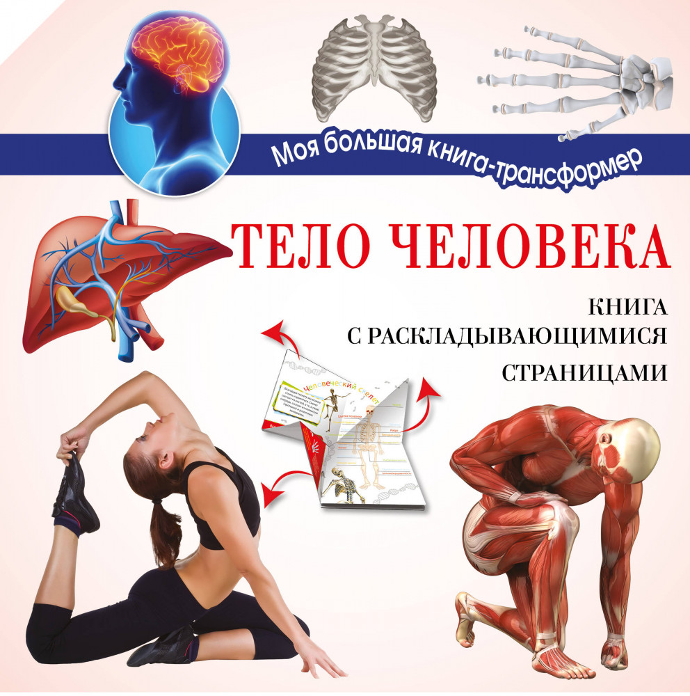 Тело человека | Моя большая книга-трансформер