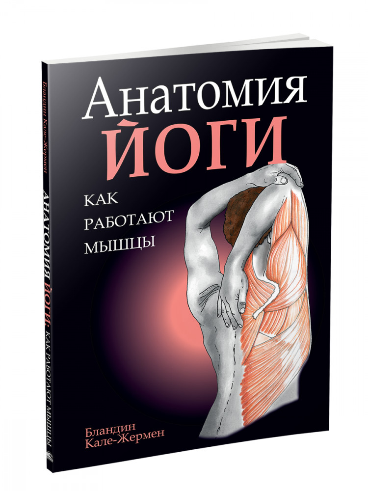 Анатомия йоги: как работают мышцы | Фитнес и физические упражнения